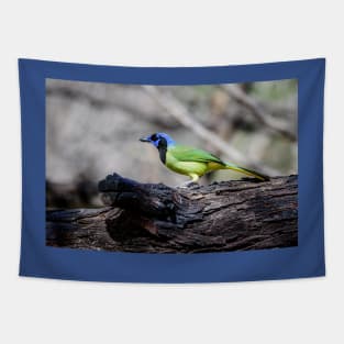 South Texas Green Jay Tapestry