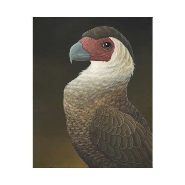 Ivory-billed Woodpecker (Campephilus principalis) by JadaFitch
