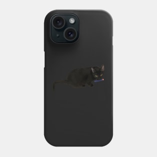 Black Cat Photo Phone Case