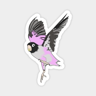 Pink Love Bird Magnet
