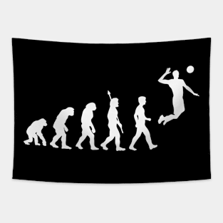 Evolution of volleyball Tapestry