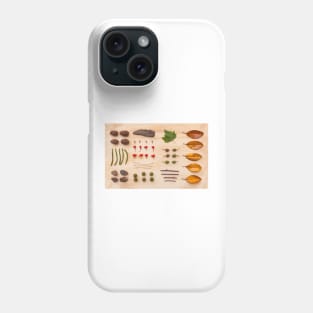 Melbourne Park Study Phone Case