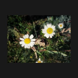 White Flowers in the wild T-Shirt