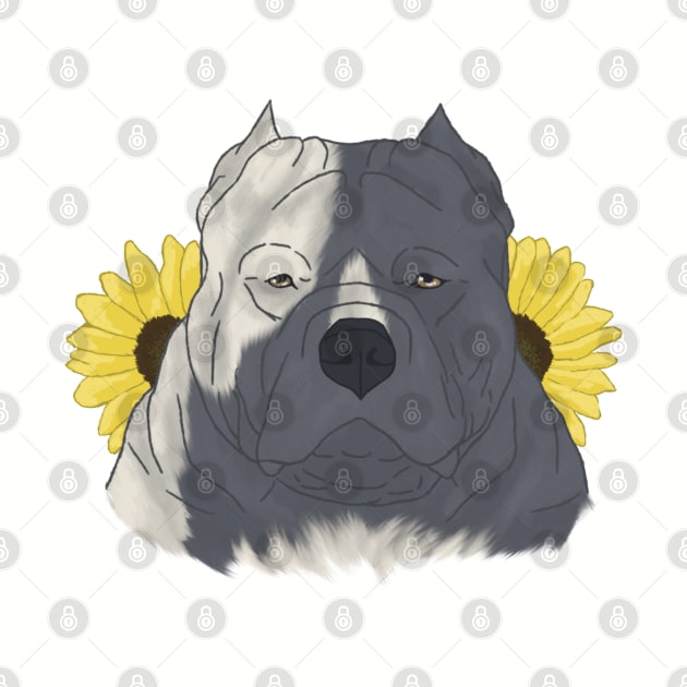 Blue Pied American Bully with Sunflowers by TrapperWeasel