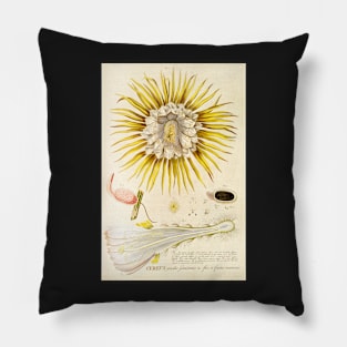 Night blooming Cereus flower dissectation - botanical illustration Pillow