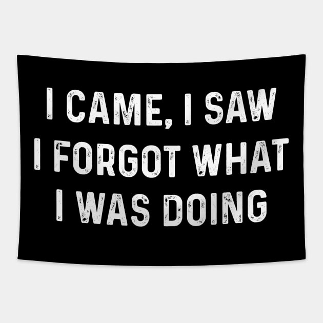 Funny I Came, I Saw I Forgot What I Was Doing Amnesia Tapestry by TeeTypo