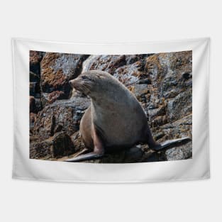 Australian Fur Seal 2 Tapestry