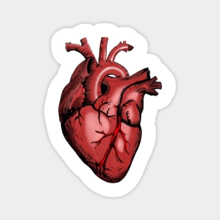 Anatomy Heart - Medical Student In Medschool Funny Gift For Nurse & Doctor Medicine Magnet