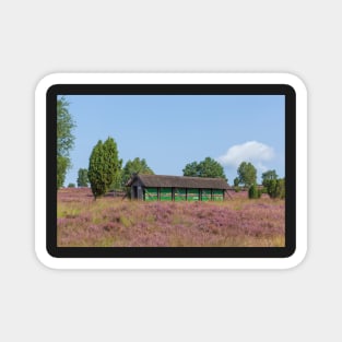 Apiary, Wilsede, nature reserve, Lüneburg Heath Magnet