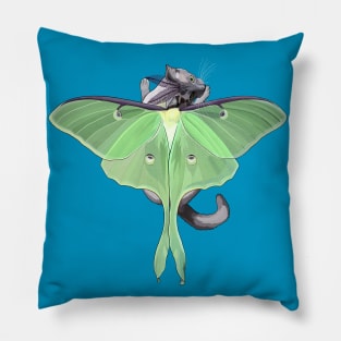 Luna Moth Flitter Kitty Pillow