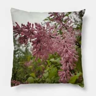 Lilacs in the Rain Pillow