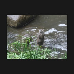 beaver T-Shirt