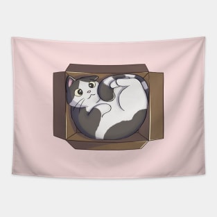 Cat Curled Up In Box Tapestry