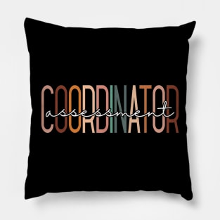 Assessment Coordinator Testing Team School Crew Pillow