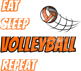 Eat Sleep Volleyball Repeat Sport Fan Gift Magnet