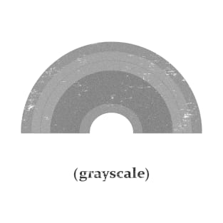 grayscale rainbow (monochrome) T-Shirt