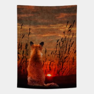 Red Fox watching the Sunset Tapestry