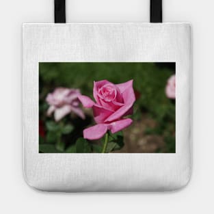 A new rose Tote