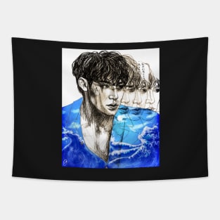 Mingyu (SVT) - Home Tapestry