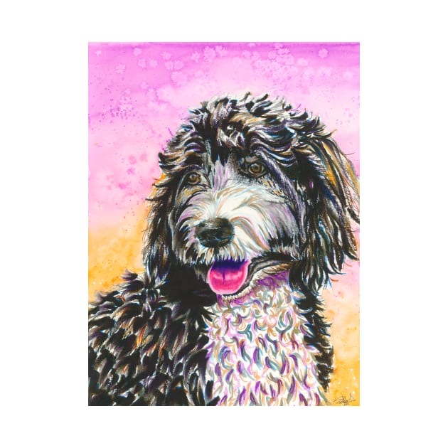 Bernedoodle by sambeawesome