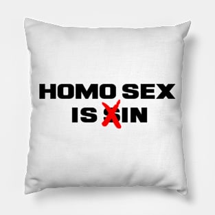 Homo Sex Is In Pillow