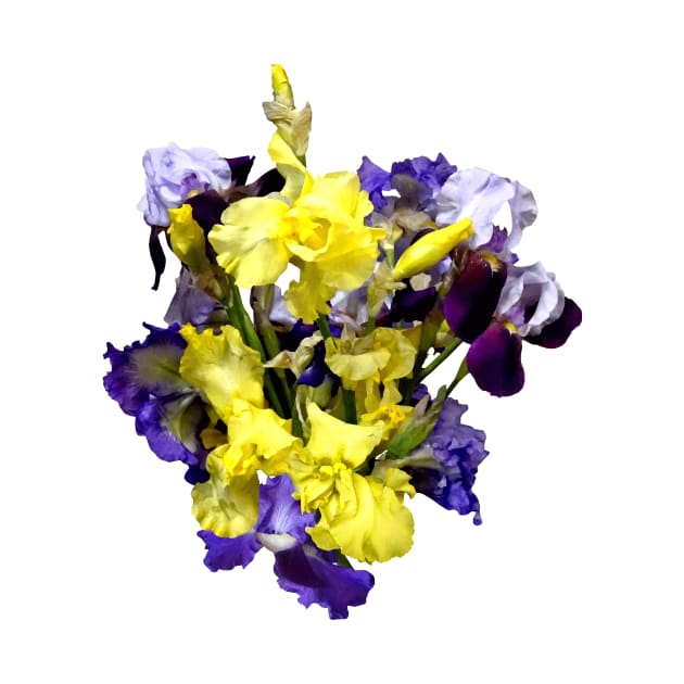 Assortment of Irises Yellow and Purple by SusanSavad