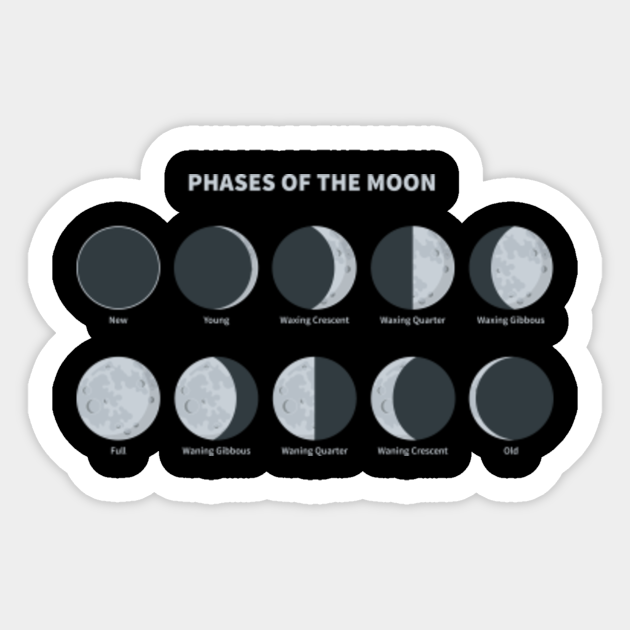 Astrology Planner 2020 Shirt Astrology Calendar T Shirt Moon Phase Calendar 2020 Astrology Planner 2020 Sticker Teepublic