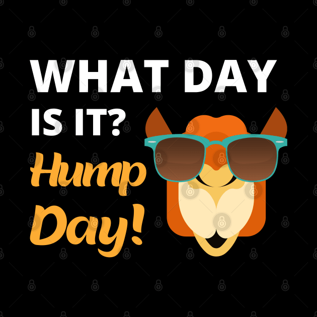 What Day Is It? Hump Day! by apparel.tolove@gmail.com