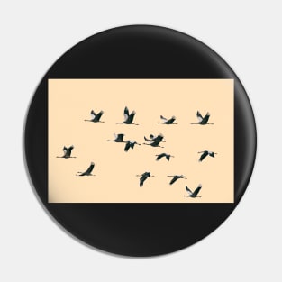 Fifteen Common Cranes Flying on Peach Background Pin