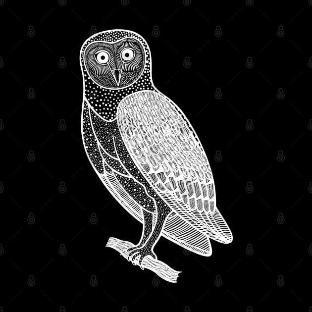 Barn Owl - detailed hand drawn bird design by Green Paladin