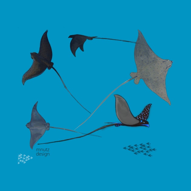 Eagle rays by mnutz