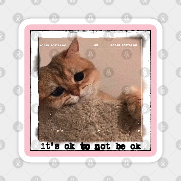 Sad Cat Meme Magnet by canvaslady