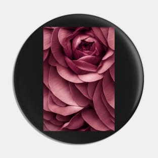 Beautiful Red Burgundy Rose Flowers, for all those who love nature #94 Pin