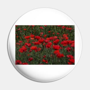 bright red glowing poppy in a field of wild uncultivated flowers Pin