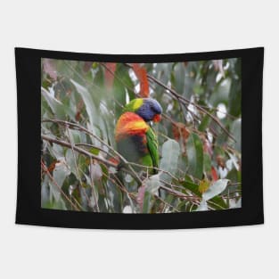 Rainbow Lorikeet in Norton Summit Tapestry