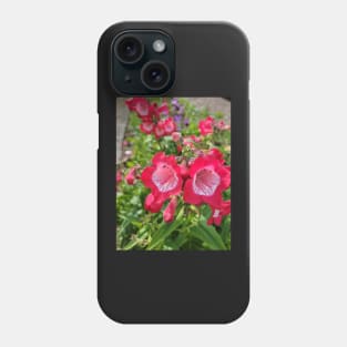 gift, for birthday happy birthday beautiful, flower Phone Case