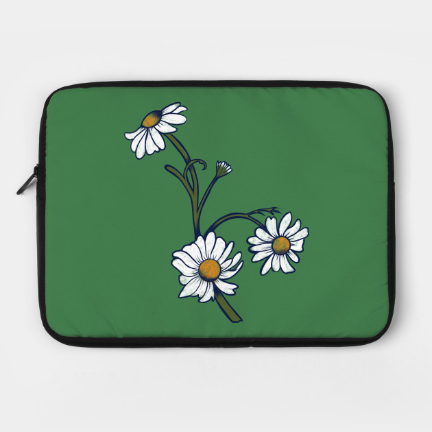 Daisies