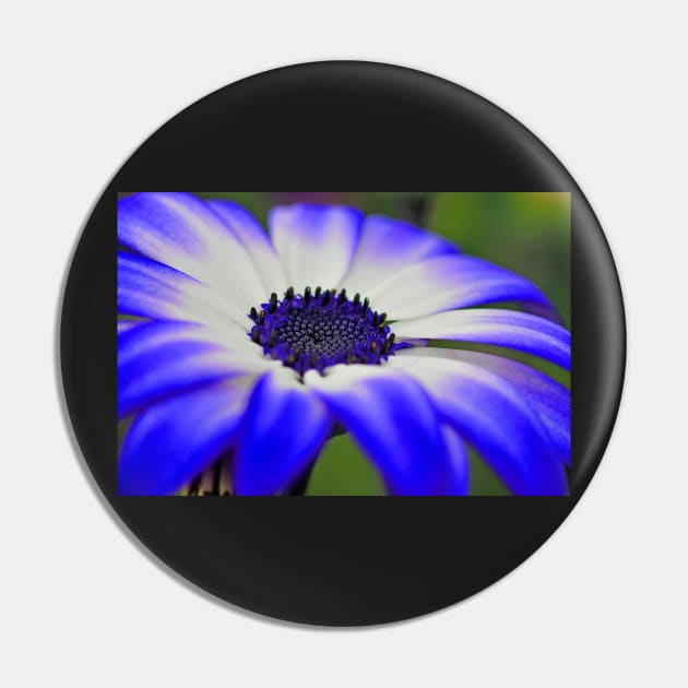 HDR Senetti #4 Pin by axp7884