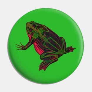 Skeleton Frog Interactive Magenta&Green Filter By Red&Blue Pin