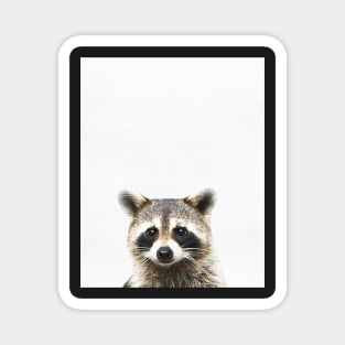 Raccoon print, Nursery decor, Animal print, Woodlands Wall Art Magnet