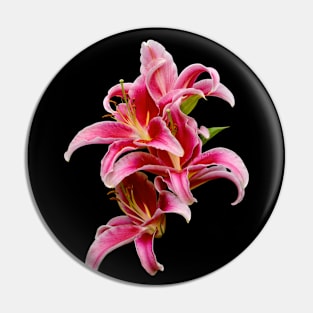 Elegant Hot Pink Oriental Lilies Pin