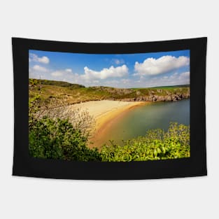 Barafundle Bay, Pembrokeshire Tapestry