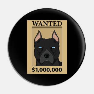 wanted 1000000 Pin