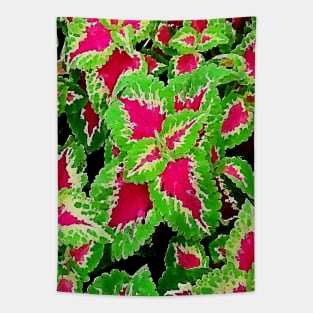 coleus leaves pattern Tapestry