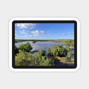 Florida Everglades Magnet