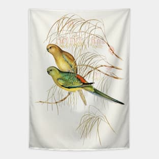 Red-backed Parakeet Tapestry