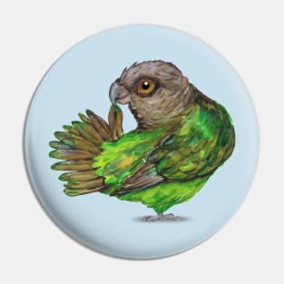 Brown-headed Parrot Pin