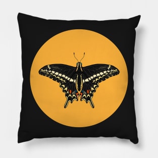 Schaus' Swallowtail Pillow