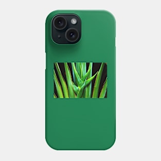 Palm frond Phone Case