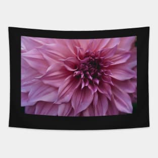 Impressive x dahlia botanical flower photograph Tapestry